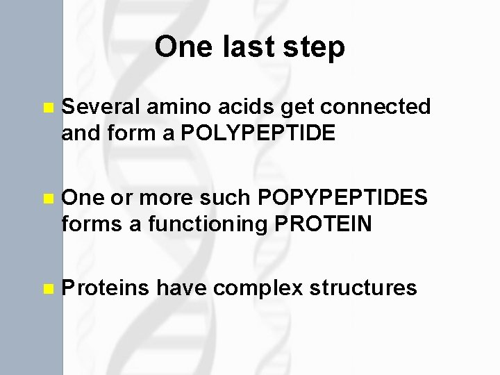 One last step n Several amino acids get connected and form a POLYPEPTIDE n