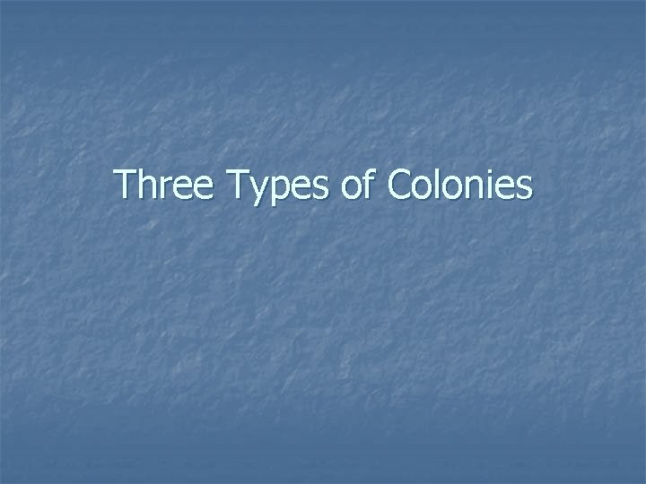 Three Types of Colonies 