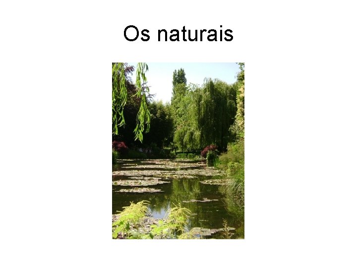 Os naturais 