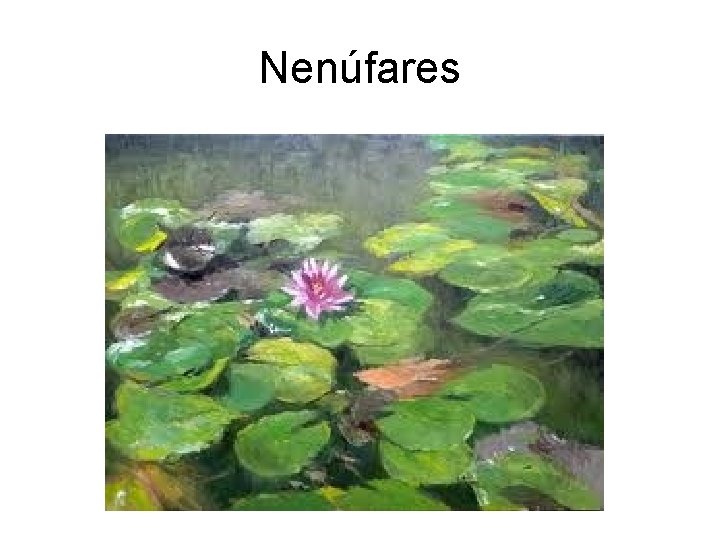 Nenúfares 