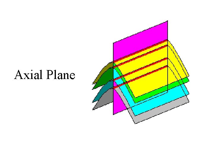 Axial Plane 