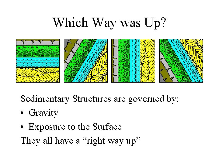 Which Way was Up? Sedimentary Structures are governed by: • Gravity • Exposure to