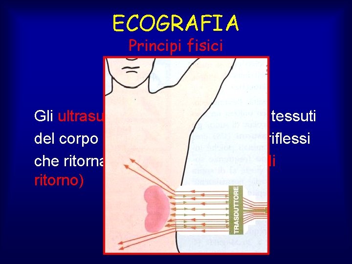 ECOGRAFIA Principi fisici Gli ultrasuoni, attraversando i vari tessuti del corpo umano, generano fasci