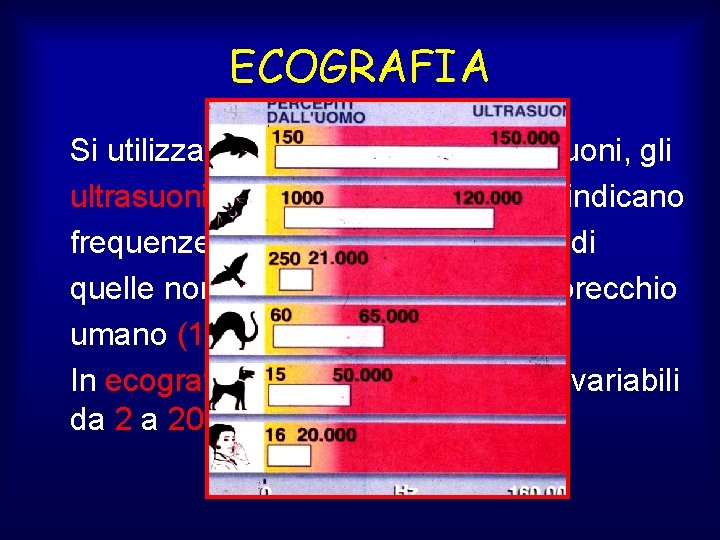 ECOGRAFIA Si utilizzano un tipo particolare di suoni, gli ultrasuoni, così denominati perché indicano