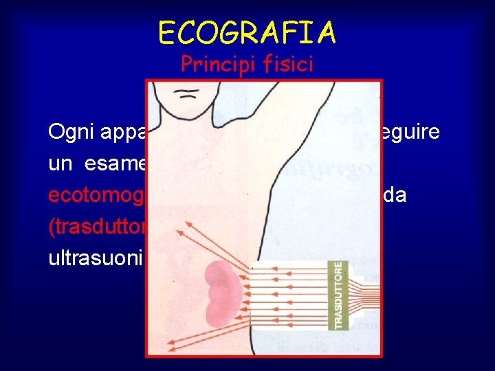 ECOGRAFIA Principi fisici Ogni apparecchio utilizzato per eseguire un esame ecografico (ecografo o ecotomografo)