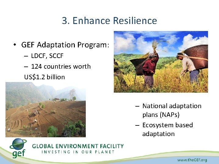 3. Enhance Resilience • GEF Adaptation Program: – LDCF, SCCF – 124 countries worth
