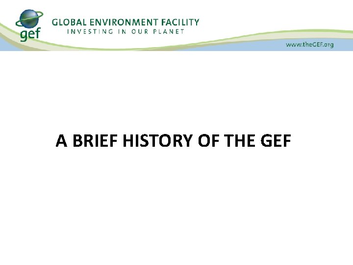 A BRIEF HISTORY OF THE GEF 