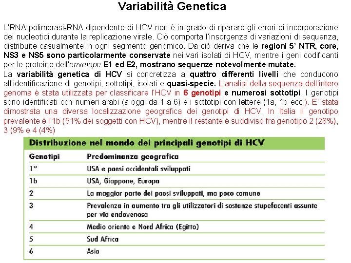 Variabilità Genetica L’RNA polimerasi-RNA dipendente di HCV non è in grado di riparare gli