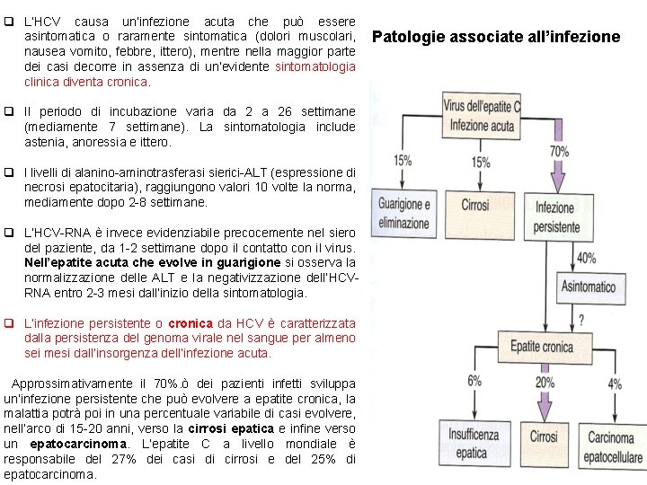 q L’HCV causa un’infezione acuta che può essere asintomatica o raramente sintomatica (dolori muscolari,