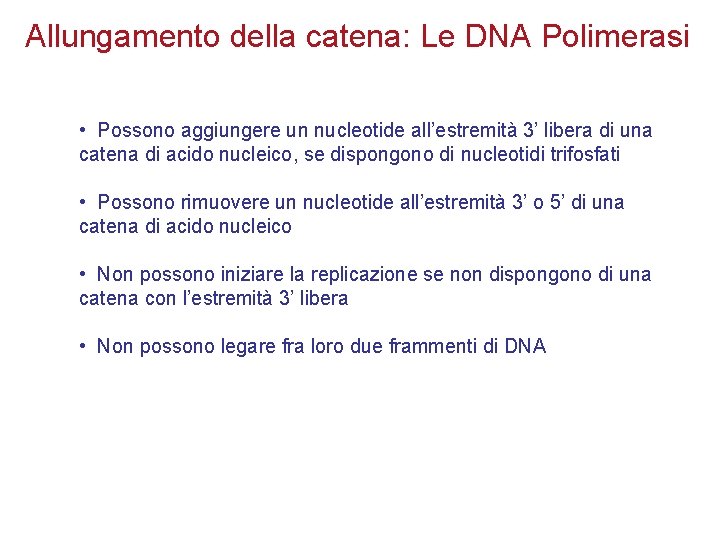 Allungamento della catena: Le DNA Polimerasi • Possono aggiungere un nucleotide all’estremità 3’ libera
