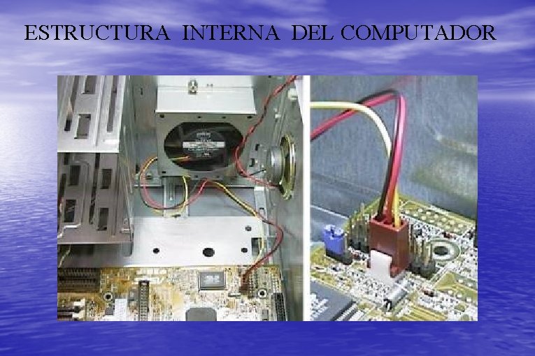 ESTRUCTURA INTERNA DEL COMPUTADOR 