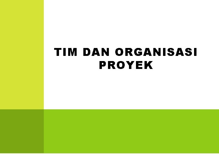 TIM DAN ORGANISASI PROYEK 