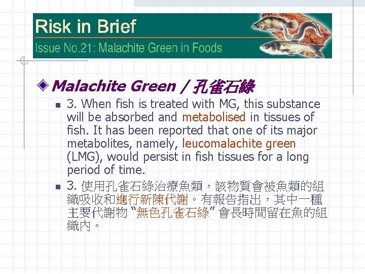 Malachite Green / 孔雀石綠 n n 3. When fish is treated with MG, this