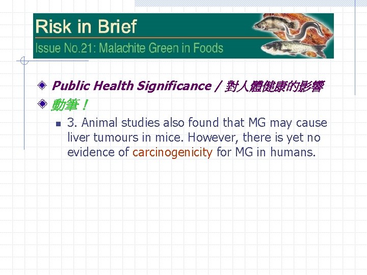 Public Health Significance / 對人體健康的影響 動筆！ n 3. Animal studies also found that MG