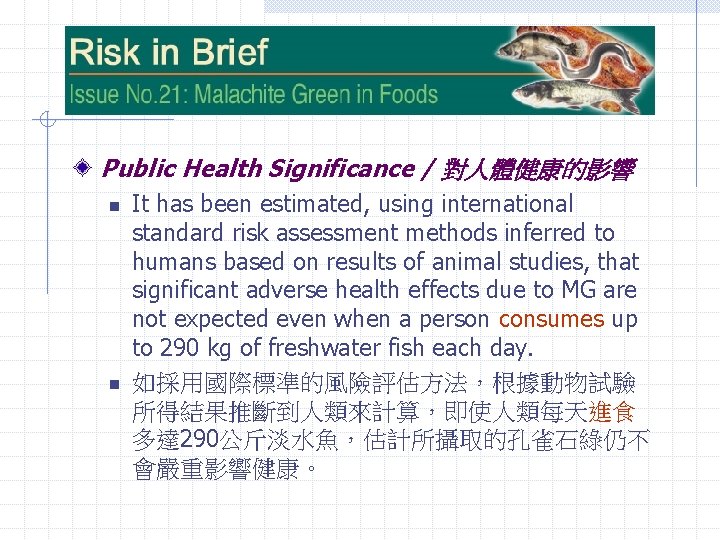 Public Health Significance / 對人體健康的影響 n n It has been estimated, using international standard