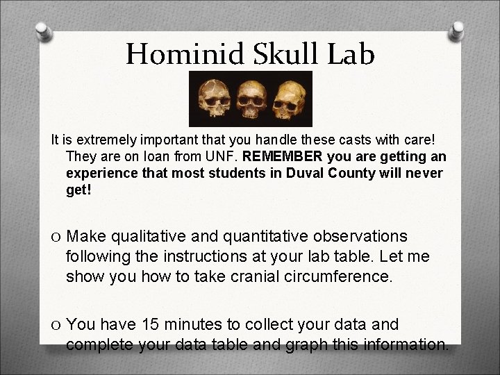 Hominid Skull Lab It is extremely important that you handle these casts with care!