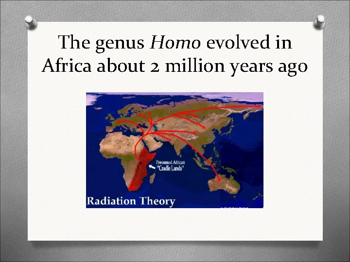 The genus Homo evolved in Africa about 2 million years ago 