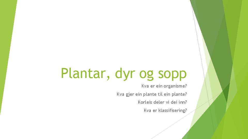 Plantar, dyr og sopp Kva er ein organisme? Kva gjer ein plante til ein