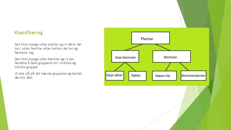 Klassifisering Det finst mange ulike plantar og vi delar dei inn i ulike familiar