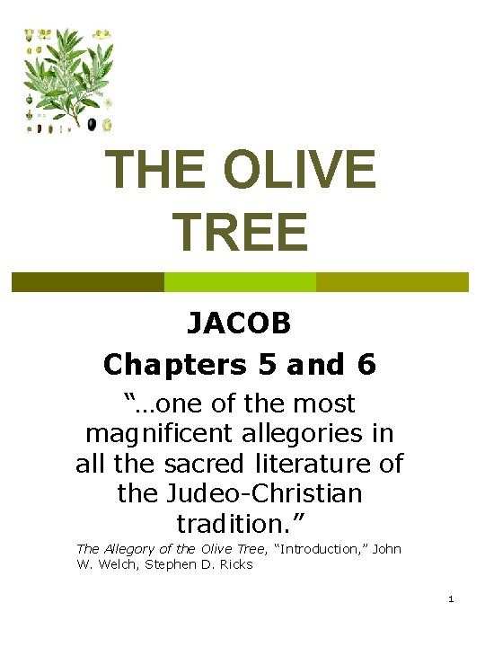 THE OLIVE TREE JACOB Chapters 5 and 6 “…one of the most magnificent allegories