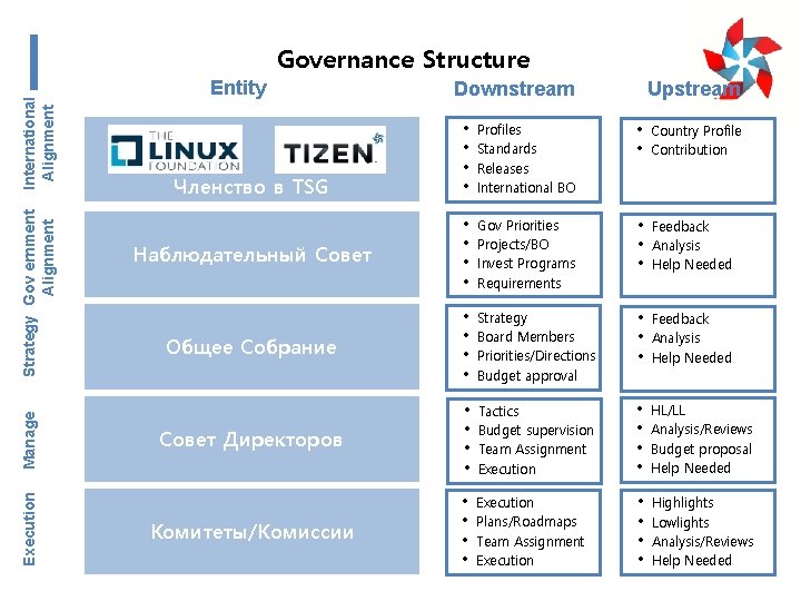 Execution Manage Strategy Gov ernment Alignment International Alignment Governance Structure Entity Downstream Upstream •