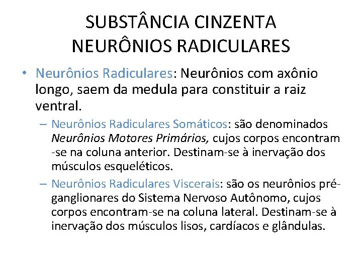 SUBST NCIA CINZENTA NEURÔNIOS RADICULARES • Neurônios Radiculares: Neurônios com axônio longo, saem da