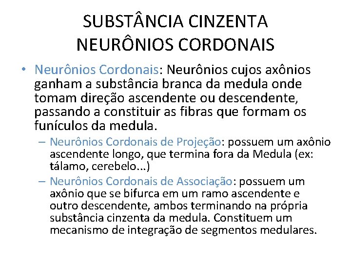 SUBST NCIA CINZENTA NEURÔNIOS CORDONAIS • Neurônios Cordonais: Neurônios cujos axônios ganham a substância