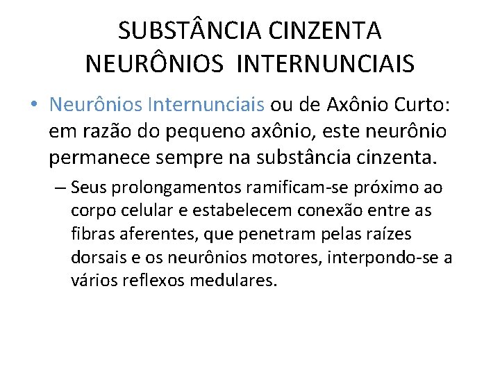 SUBST NCIA CINZENTA NEURÔNIOS INTERNUNCIAIS • Neurônios Internunciais ou de Axônio Curto: em razão