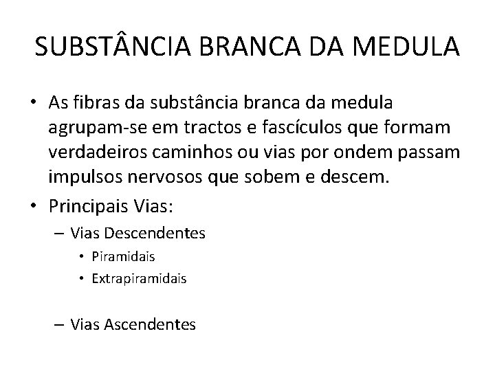 SUBST NCIA BRANCA DA MEDULA • As fibras da substância branca da medula agrupam-se