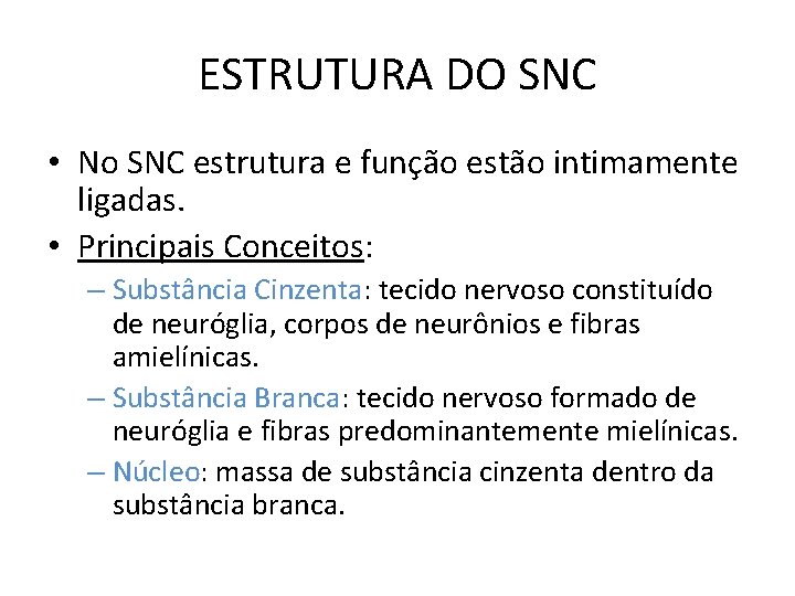 ESTRUTURA DO SNC • No SNC estrutura e função estão intimamente ligadas. • Principais