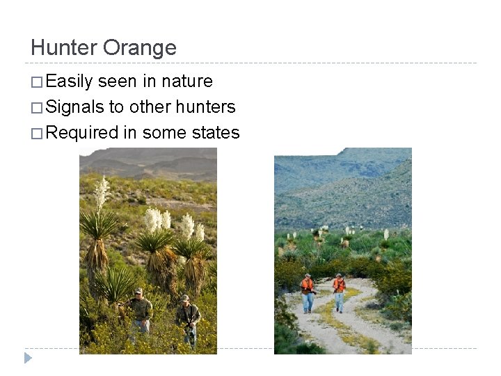 Hunter Orange � Easily seen in nature � Signals to other hunters � Required