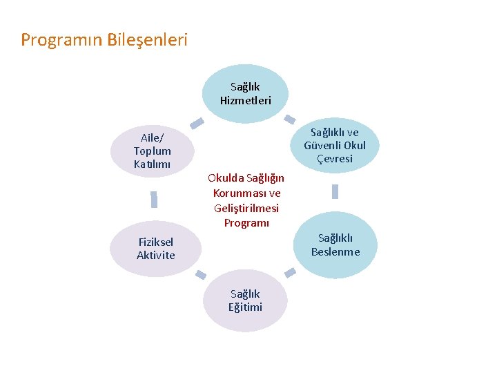 Programın Bileşenleri Sağlık Hizmetleri Aile/ Toplum Katılımı Sağlıklı ve Güvenli Okul Çevresi Okulda Sağlığın