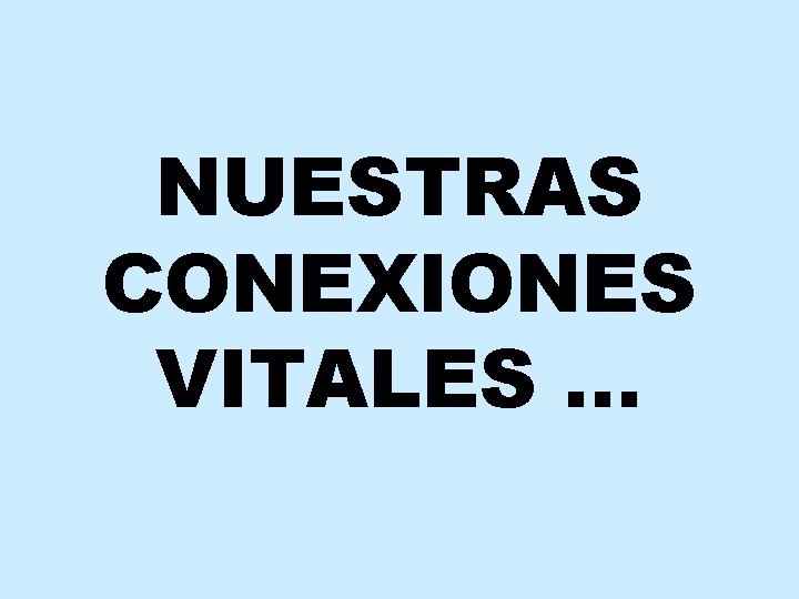 NUESTRAS CONEXIONES VITALES … 