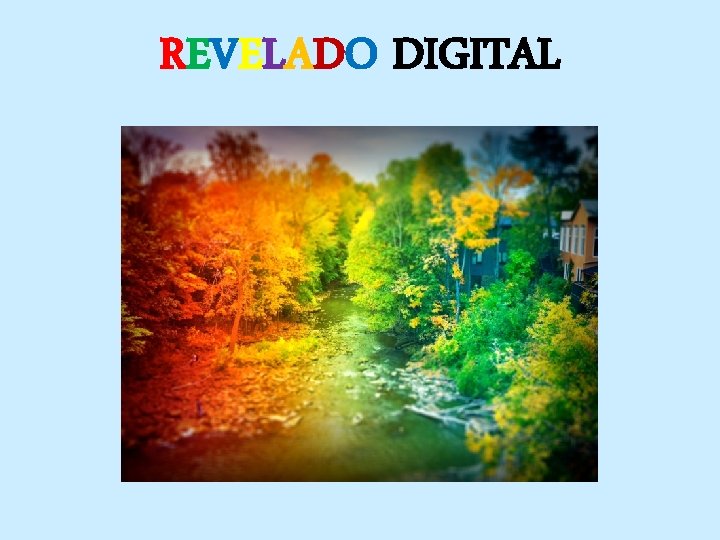 REVELADO DIGITAL 