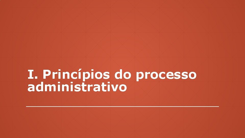 I. Princípios do processo administrativo 