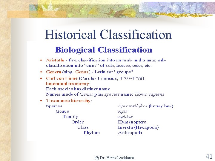 Historical Classification @ Dr. Heinz Lycklama 41 