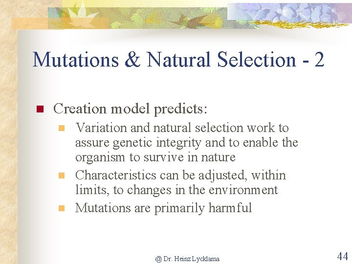 Mutations & Natural Selection - 2 n Creation model predicts: n n n Variation