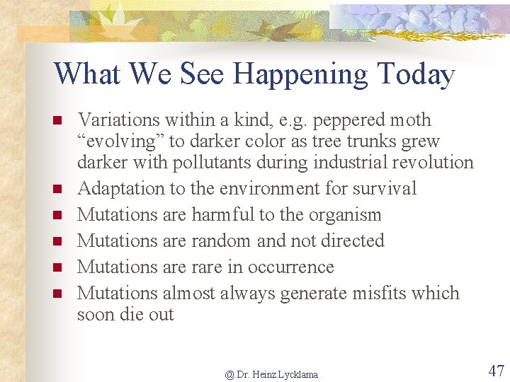 What We See Happening Today n n n Variations within a kind, e. g.