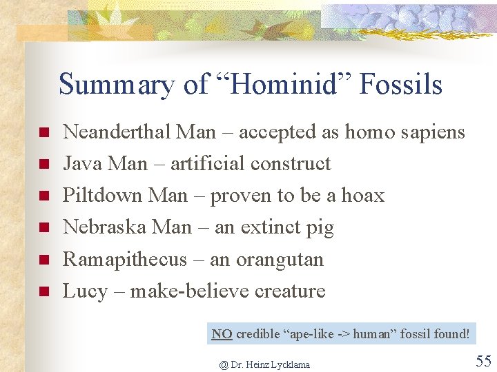 Summary of “Hominid” Fossils n n n Neanderthal Man – accepted as homo sapiens