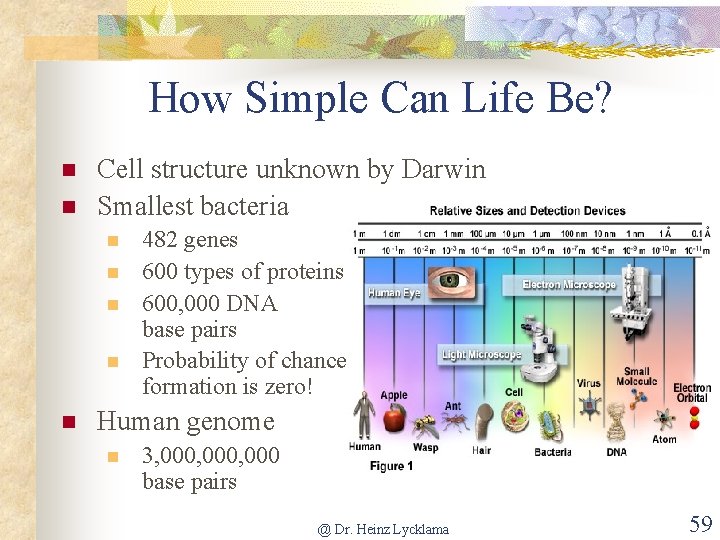 How Simple Can Life Be? n n Cell structure unknown by Darwin Smallest bacteria