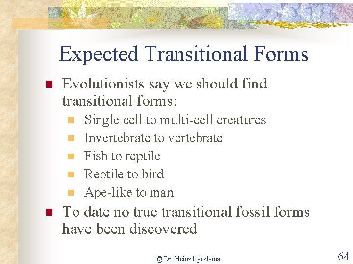 Expected Transitional Forms n Evolutionists say we should find transitional forms: n n n