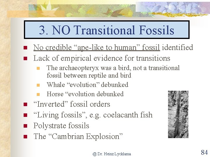 3. NO Transitional Fossils n n No credible “ape-like to human” fossil identified Lack