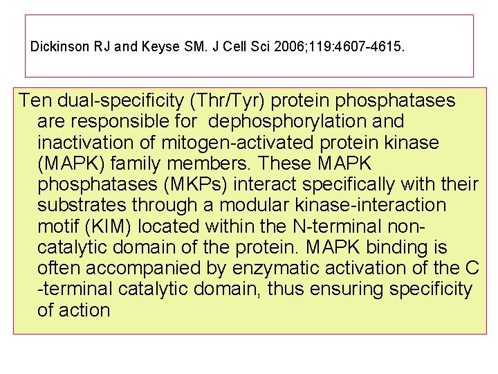 Mitogen activated protein kinase Phosphatases MKPs and cancer