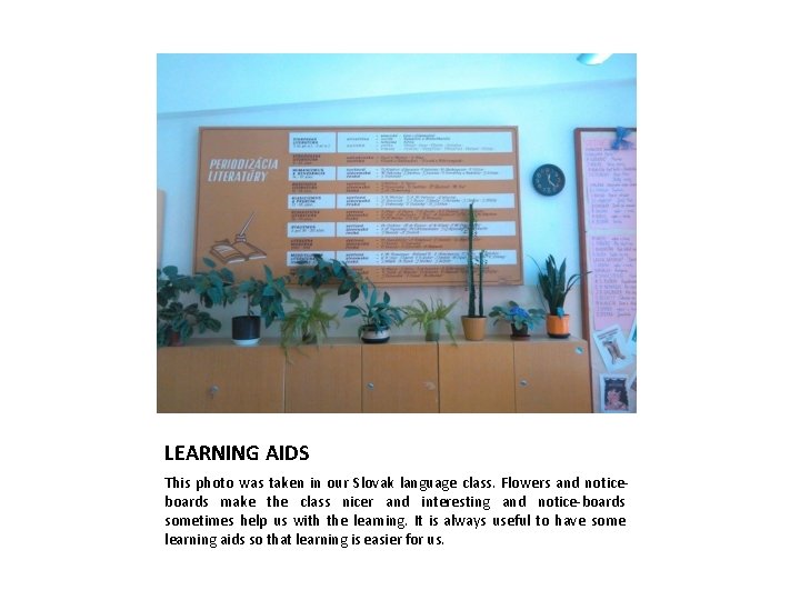 LEARNING AIDS This photo was taken in our Slovak language class. Flowers and noticeboards