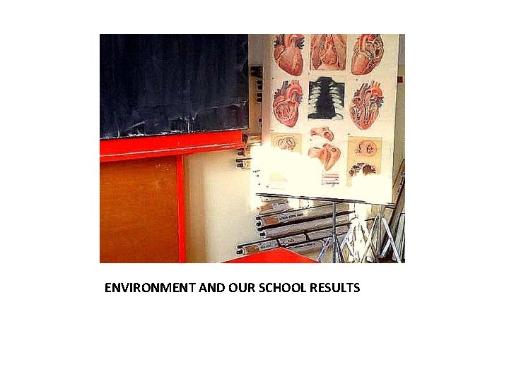 ENVIRONMENT AND OUR SCHOOL RESULTS 
