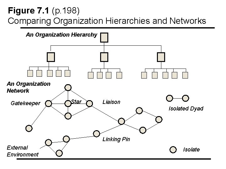 Figure 7. 1 (p. 198) Comparing Organization Hierarchies and Networks An Organization Hierarchy An