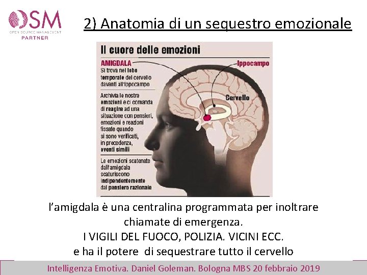 2) Anatomia di un sequestro emozionale l’amigdala è una centralina programmata per inoltrare chiamate