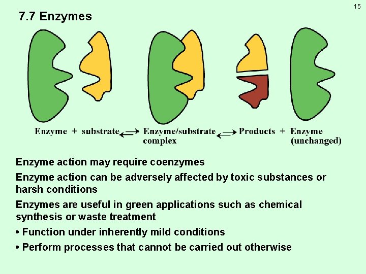 7. 7 Enzymes Enzyme action may require coenzymes Enzyme action can be adversely affected