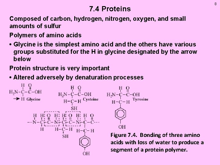 7. 4 Proteins Composed of carbon, hydrogen, nitrogen, oxygen, and small amounts of sulfur