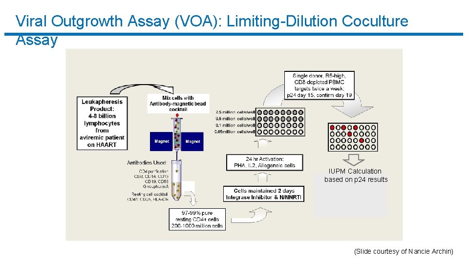 Viral Outgrowth Assay (VOA): Limiting-Dilution Coculture Assay IUPM Calculation based on p 24 results